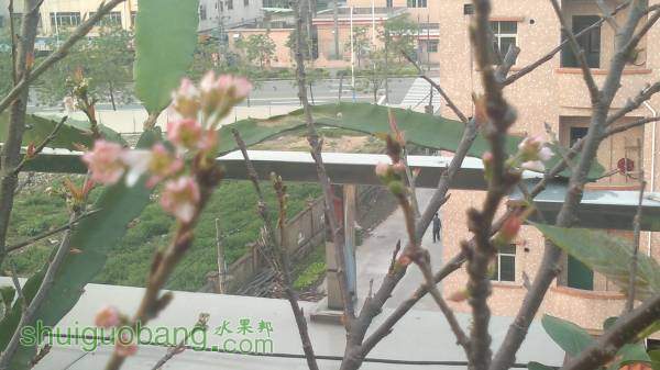 2014-04-04-2103.jpg