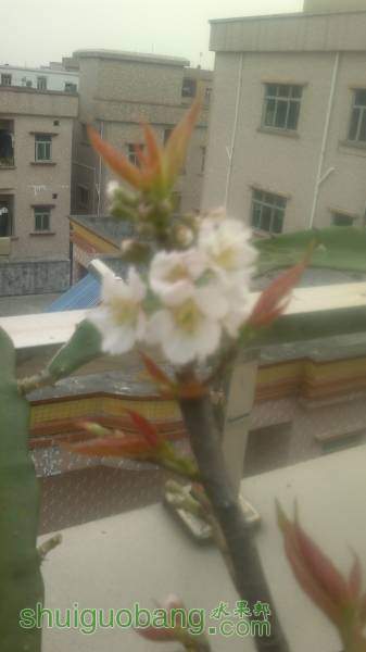 2014-04-05-2104.jpg