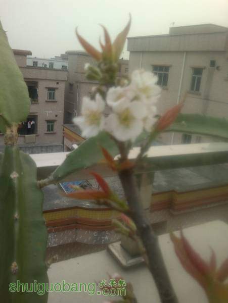 2014-04-05-2105.jpg
