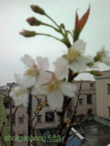 2014-04-08-2112.jpg