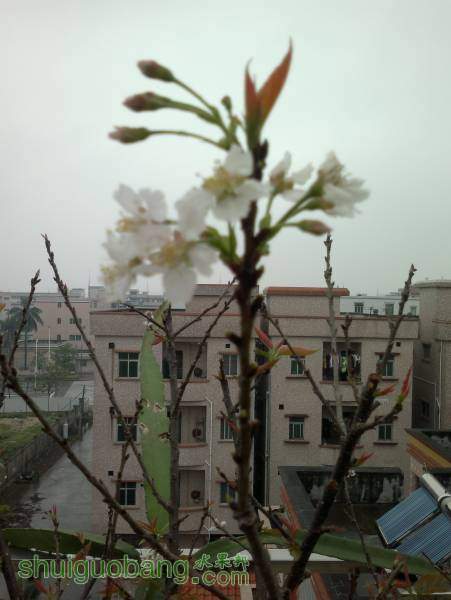 2014-04-08-2113.jpg