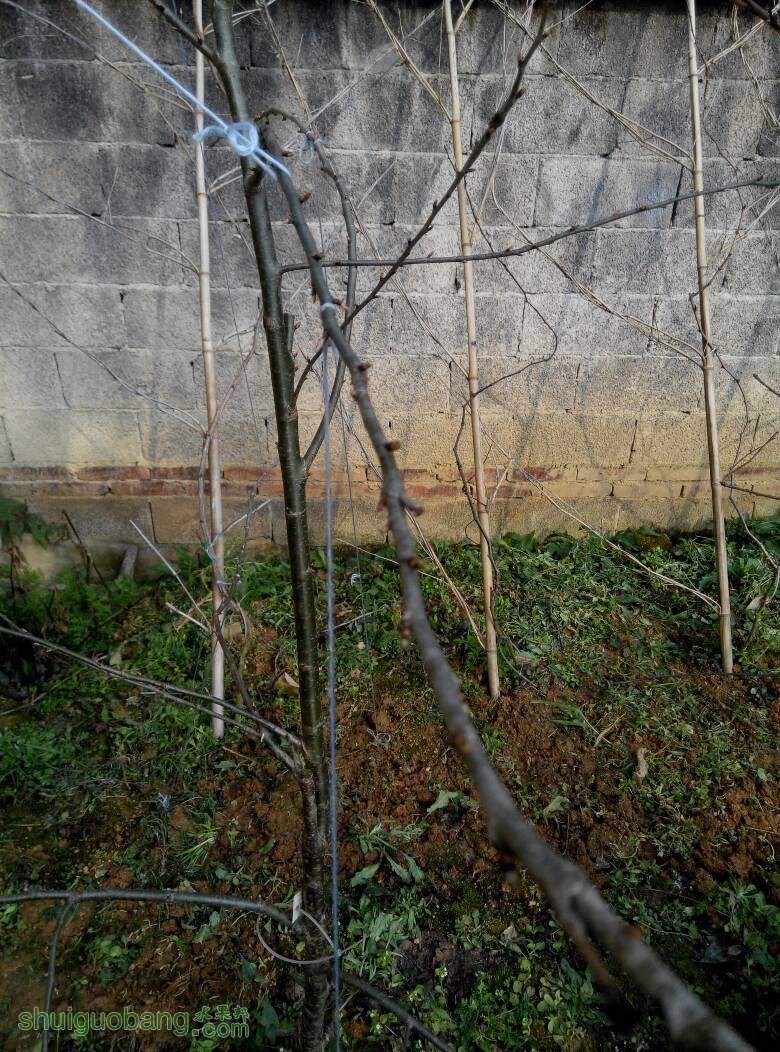 162132pp8b8hm0h4p39897.jpg