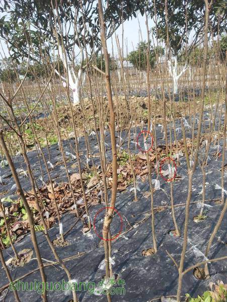 20160224_103449̫.JPG