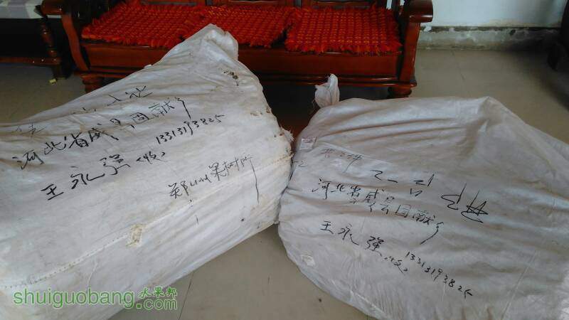215548epak477gy7ibbsfb.jpg