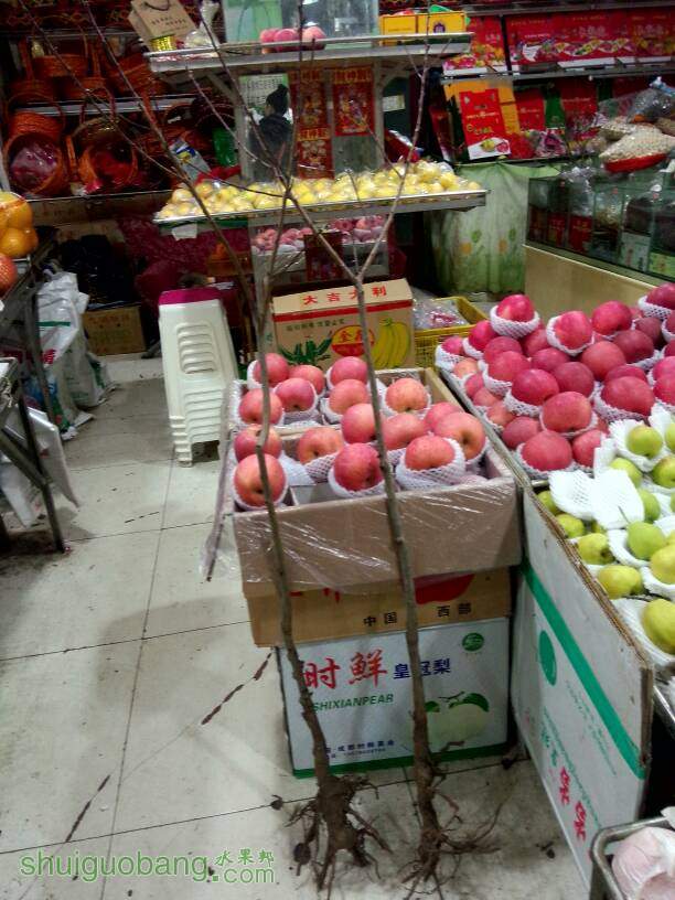 232349ztuvhs44p1411hzh.jpg