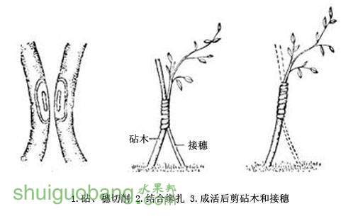 20136289235608.jpg