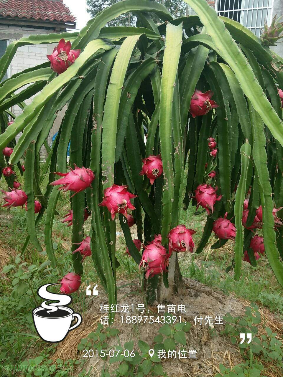 004643uhae9bznbb941t94.jpg