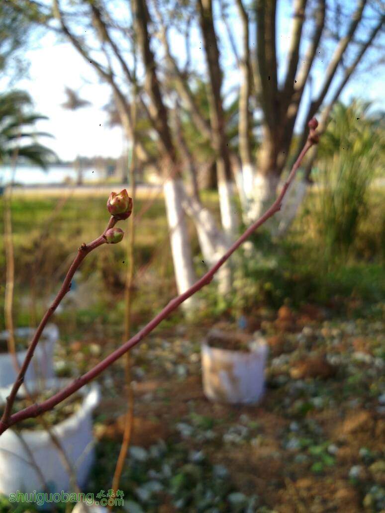 093445x2bdxn9eee2e0zl7.jpg