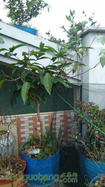 IMG_20160226_073703.jpg