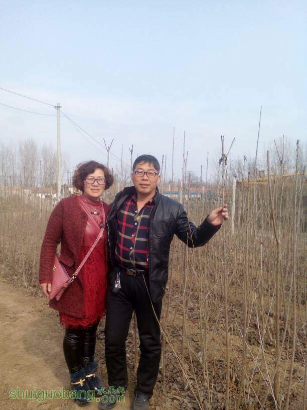 174024xpxz43caqcxzpoao.jpg