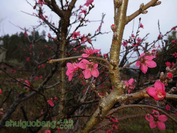 IMG_20160224_172535.jpg