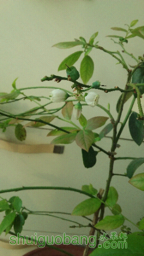 20160227_084703.jpg