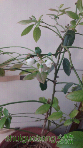20160227_084639.jpg