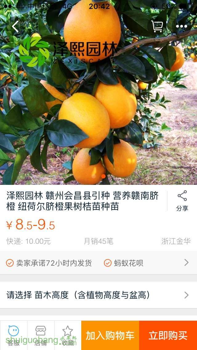 204626qikjj498ilpgdx7m.jpg