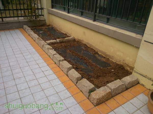 ������ֲ�� 2.jpg