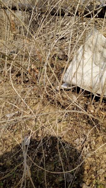 IMG_20160228_135013.jpg