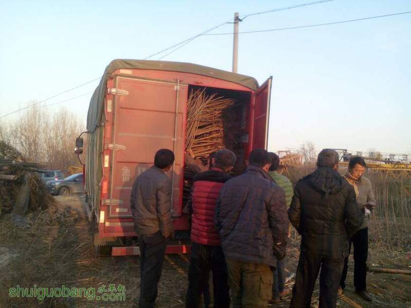 061330lqn72locogy6ibnb.jpg