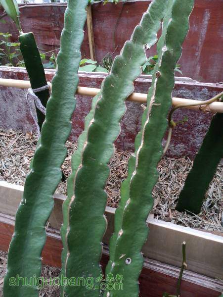 IMG20150323001.jpg