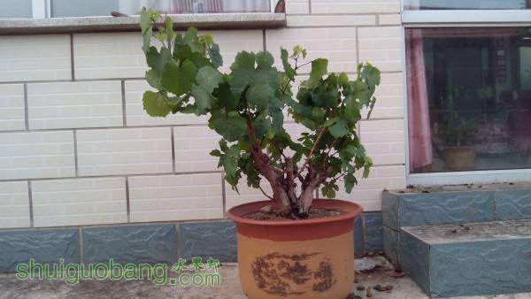 IMG_20150728_191236.jpg