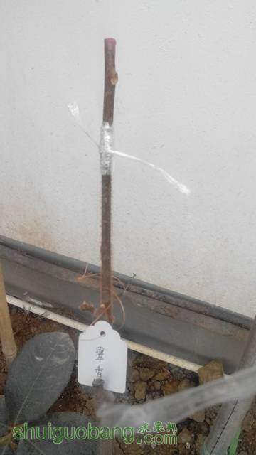 191215em3cs3pp6y8h84ps.jpg