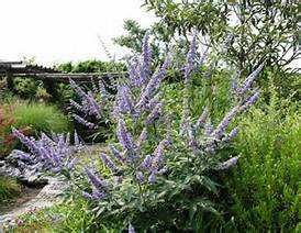 080635hw0fg3r9srl9arlf.jpg
