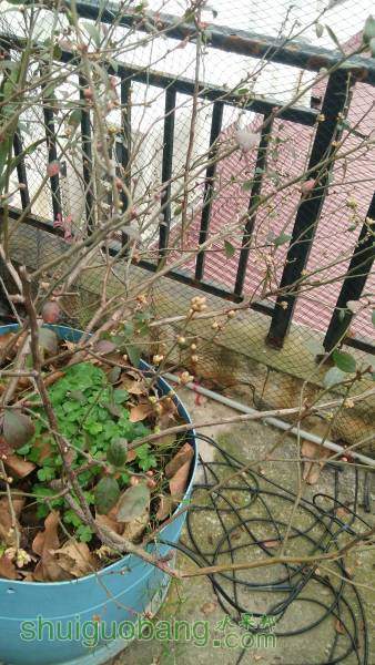IMG_20160305_073557.jpg