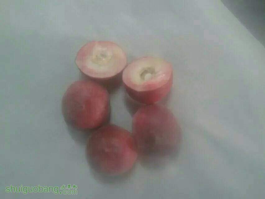 145911wokhx7jfmye7j2en.jpeg