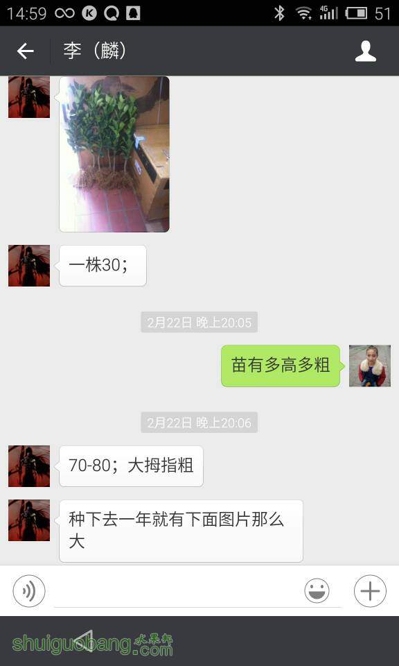 150742ox6zomxg3o9ooo6q.jpg