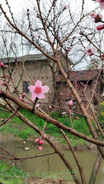 IMG_20160308_074431.jpg