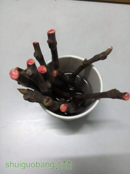 QQͼƬ20160308190431.jpg
