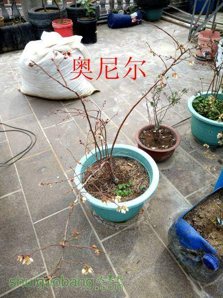 IMG20160304133153.jpg