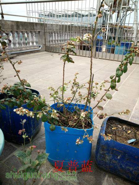 IMG20160304134050.jpg
