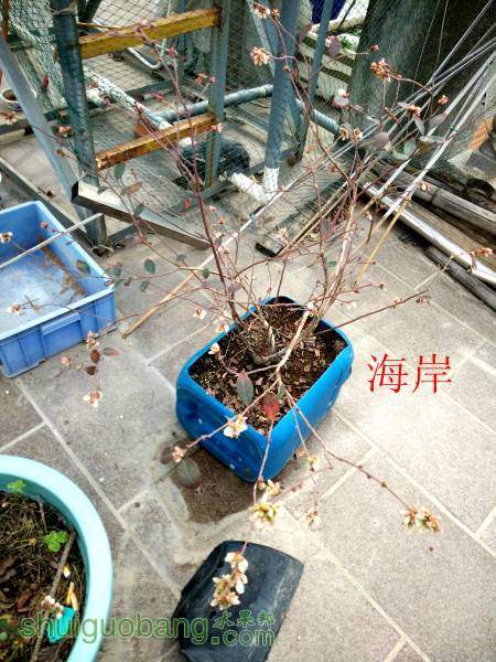 IMG20160304133119.jpg
