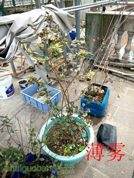 IMG20160304133127.jpg