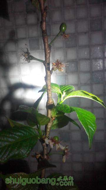 052803dgxhhdqr9dworh79.jpg