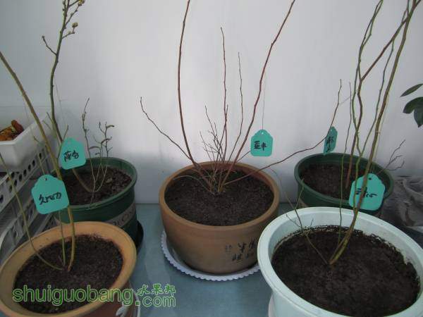 2016.03.07��2��.JPG