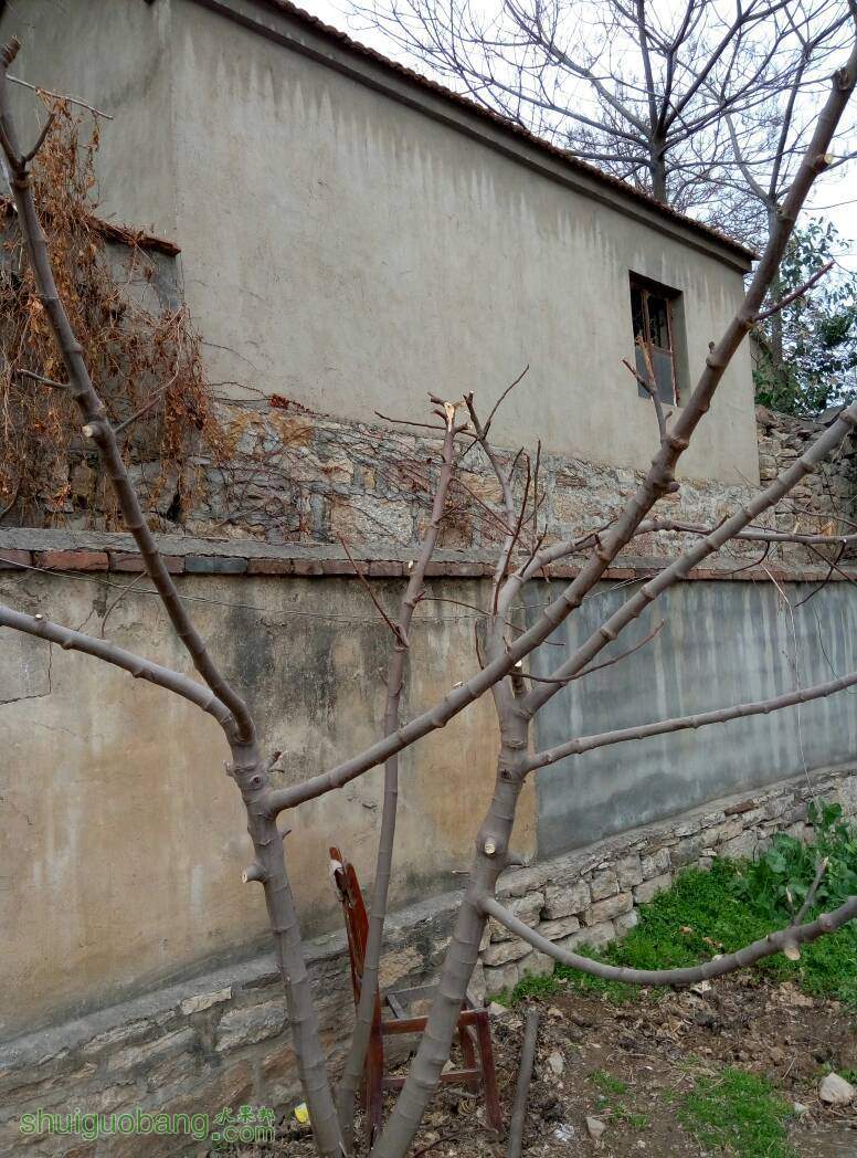 150629pdt2rbu527j5hch1.jpg