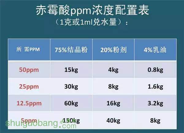 34.webp.jpg