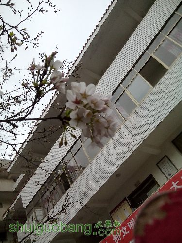 IMG_20160308_174552.jpg