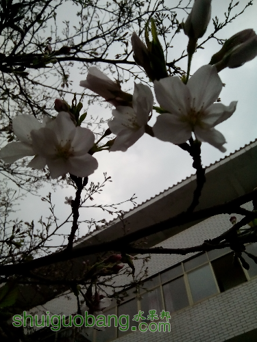 IMG_20160308_174419.jpg