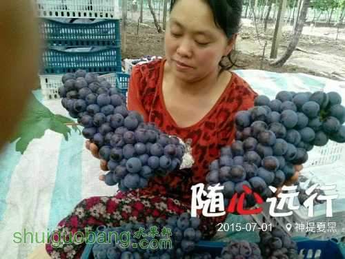 7ddc8a1cd4089ba.jpg