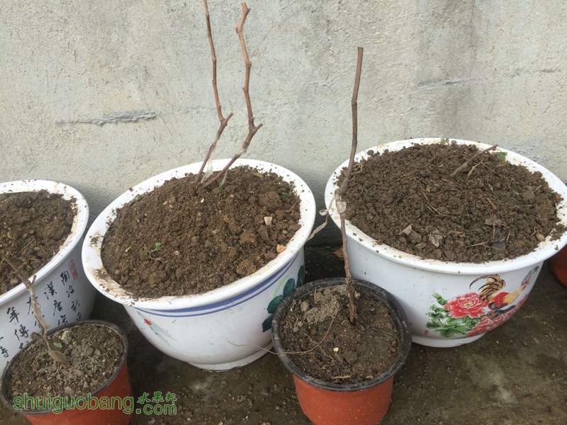 201016s5jmni5qkqpni135.jpg