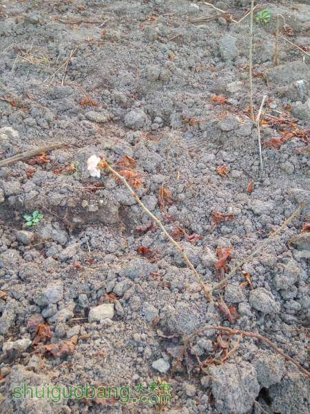 ½ļIMG_20160305_063142_HDR.jpg
