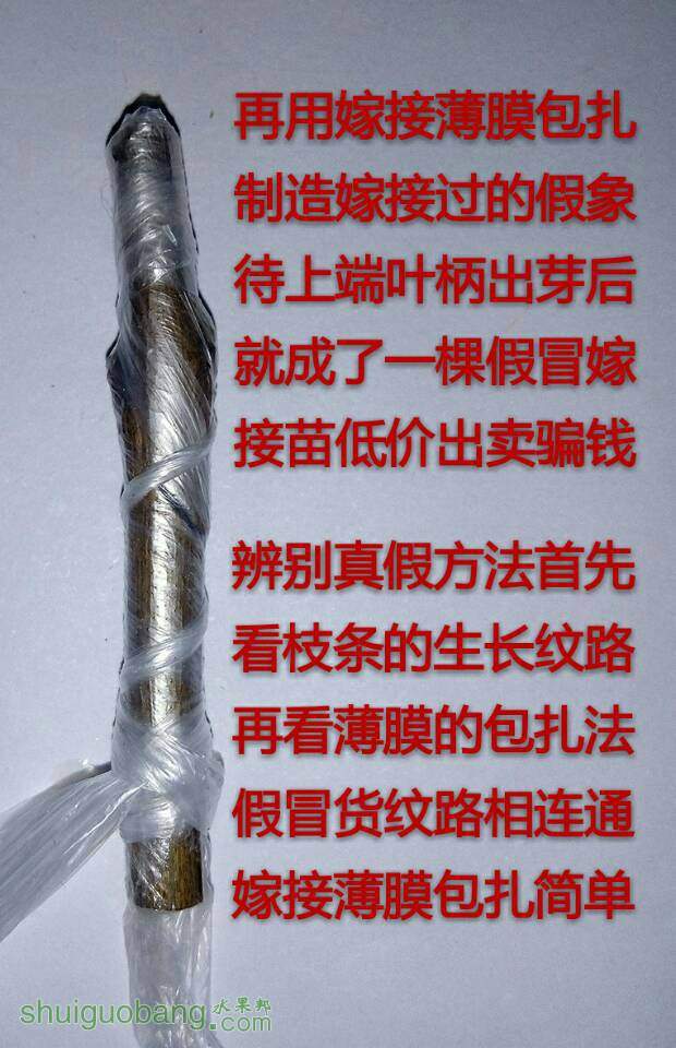 095922qplf2brlpp3ry23z.jpg
