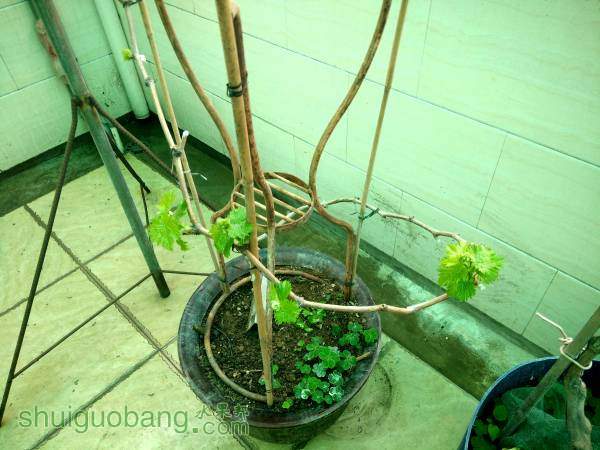 ѿ�������棬׼������ʱ�򻻴����ϼܡ�