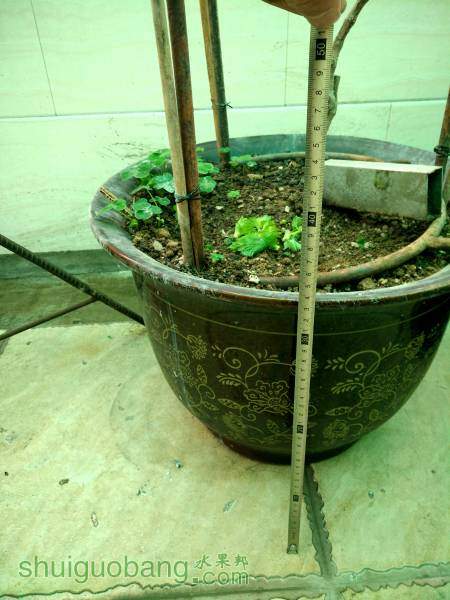 ����ʮ��