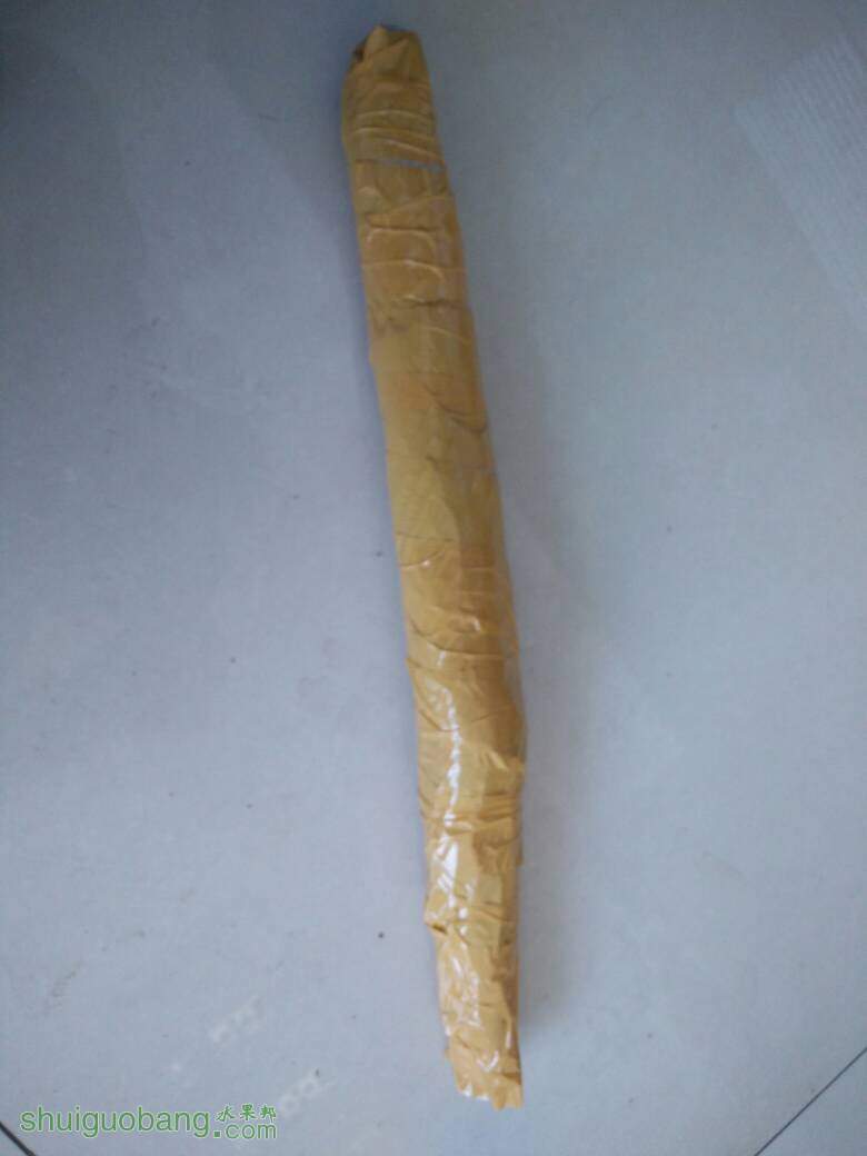 122549hho2xoetcthrqsc2.jpg