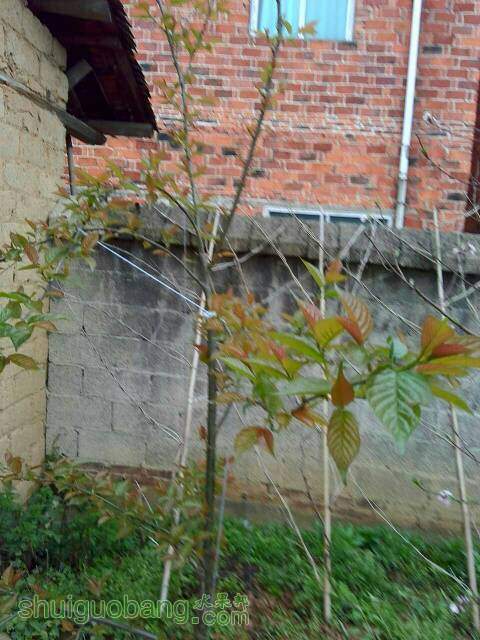 171118vwusumzmdm6lssdo.jpg