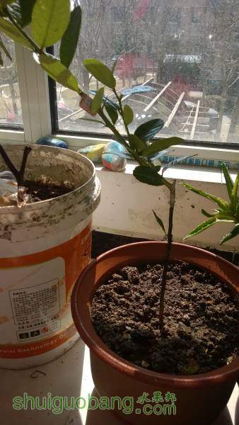 WP_20160313_007.jpg