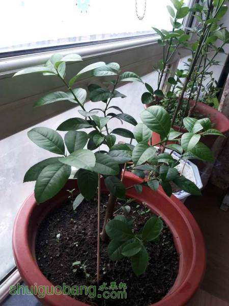 20160228_150513.jpg